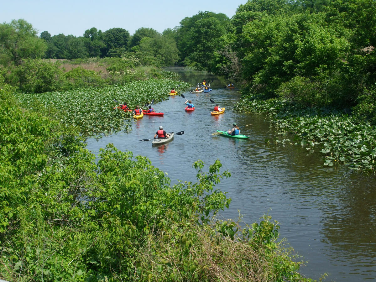 Silver Lake Nature Center hosts kayaking trips and classes for all skill levels. Silver Lake is one of three nature centers in Bucks County that offer educational programs for children and adults.
