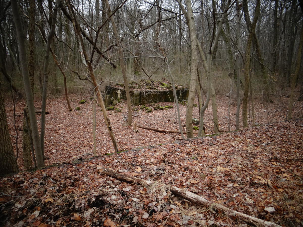 Delhass Woods Small Ruin