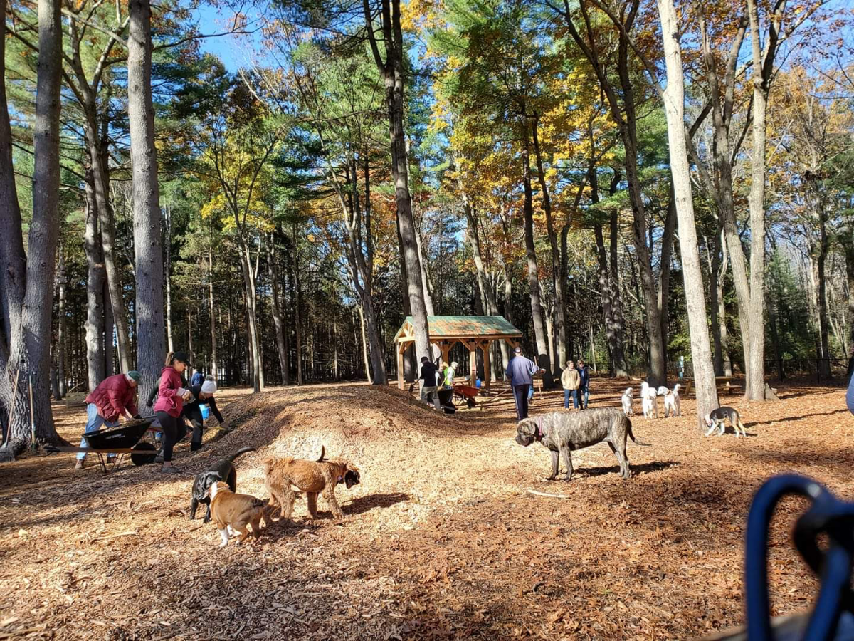 Canton Dog Park