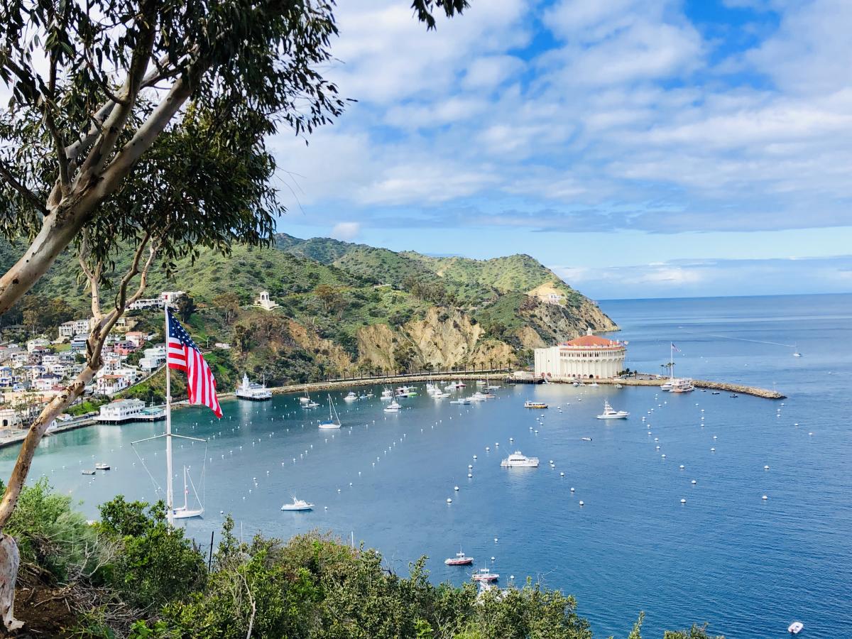 Avalon Harbor with Flag