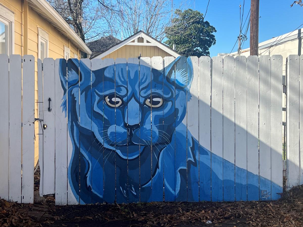 cat mural by Cedar Hill artist Hannah Tyler
