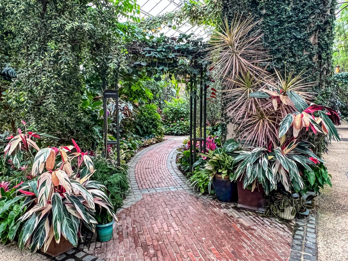 conservatory path longwood