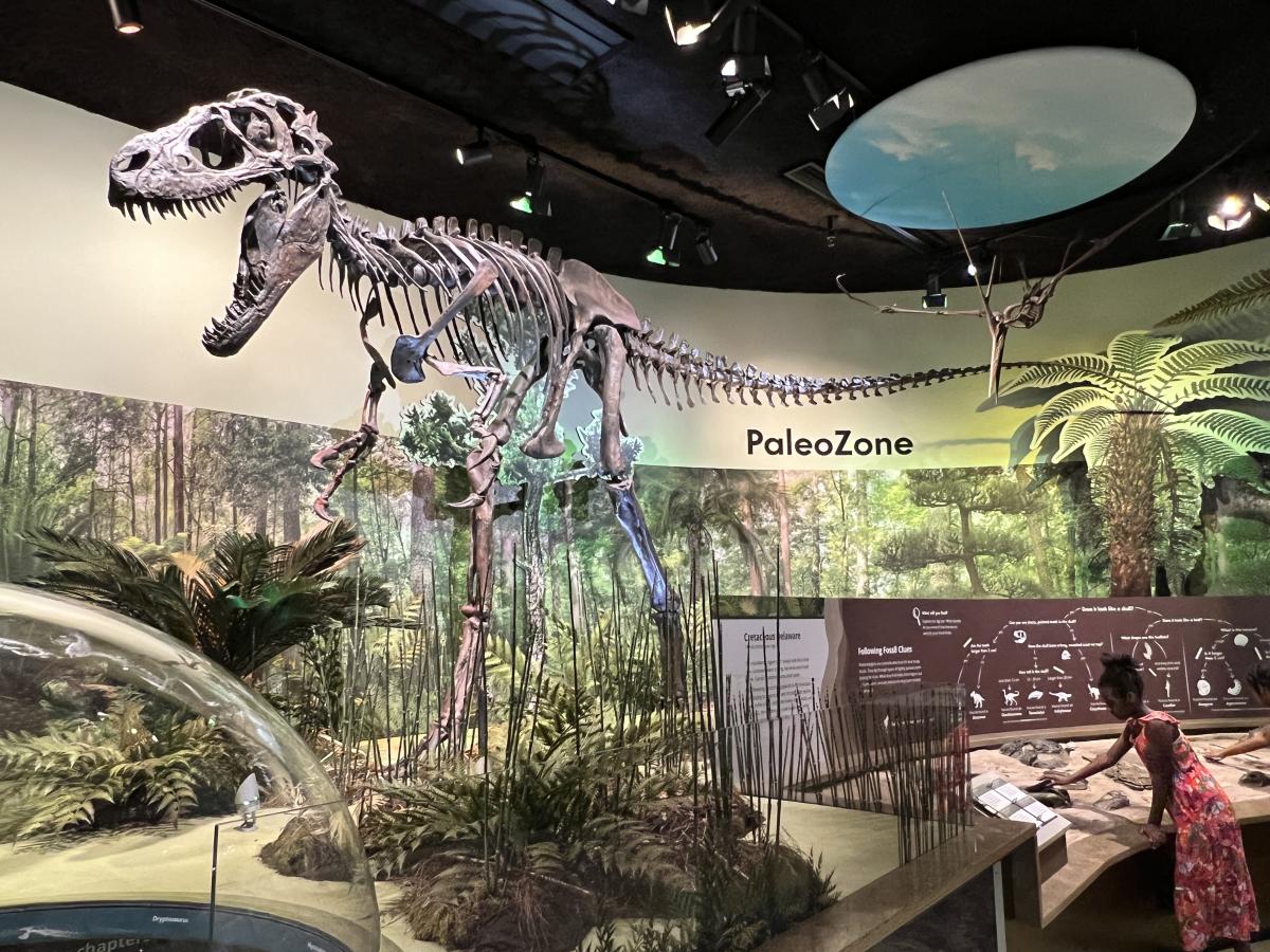 Delaware Museum of Natural Science