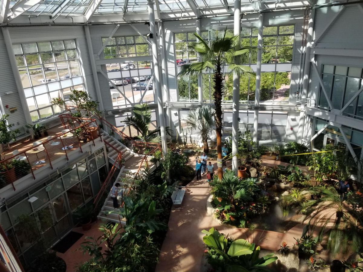 Tropical plants and exhibits at Cheyenne Botanical Gardens, a fun indoor activity for families.