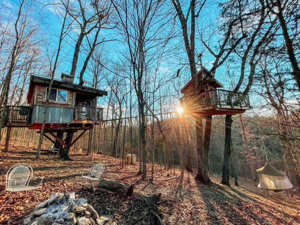 Two of the vacation treehouses at Earthjoy Treehouses in Kentucky