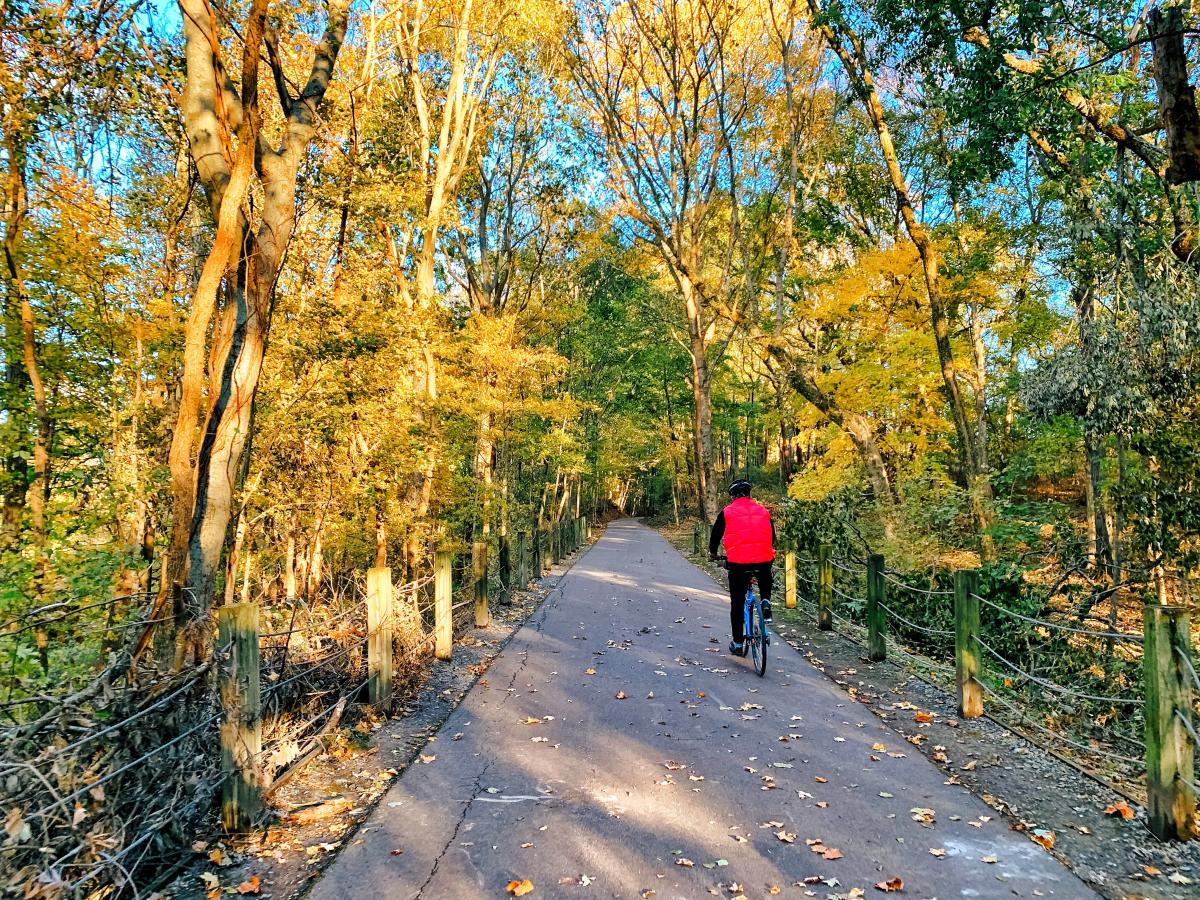 cyclist along the greenway during fall