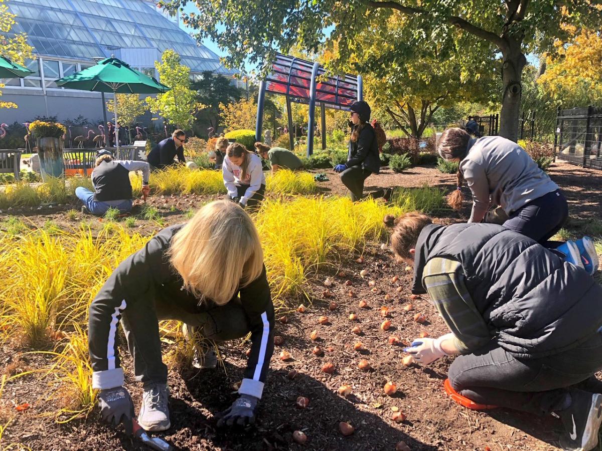 Volunteer in Columbus - Franklin Park Conservatory