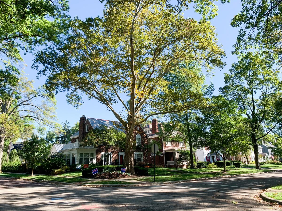 Residential area in Bexley