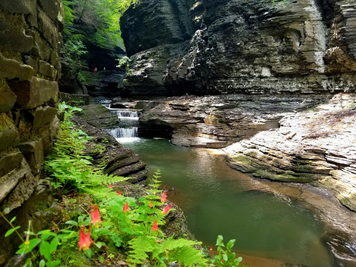 Watkins Glen State Park Gorge