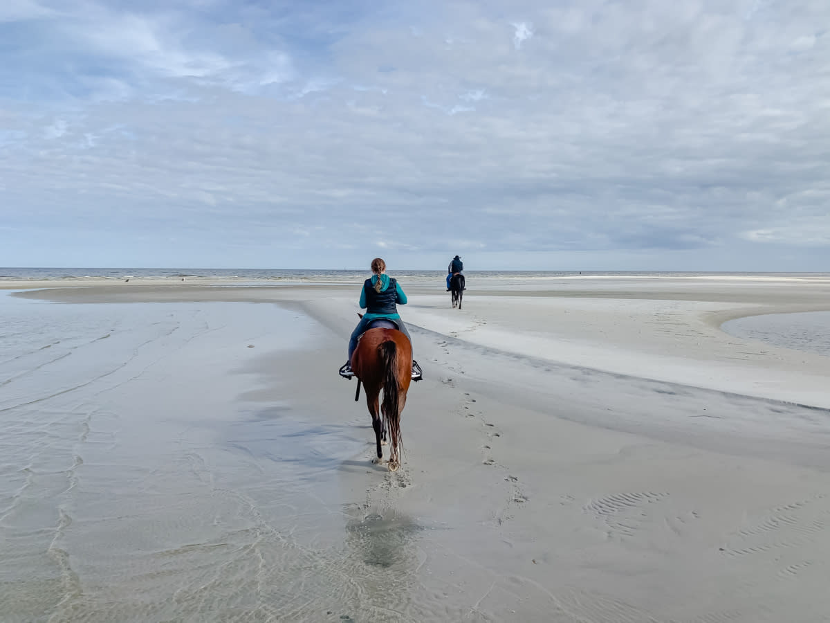 Travelers enjoy Horseback Riding along the water's edge on Cedar Island.