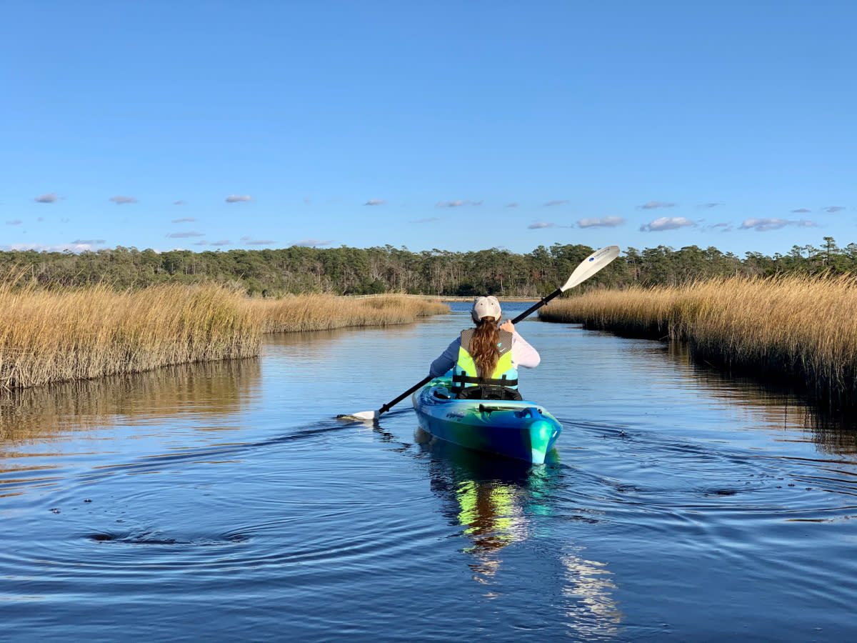 A visitor explores the waters of the Croatan National Forest on a kayak,