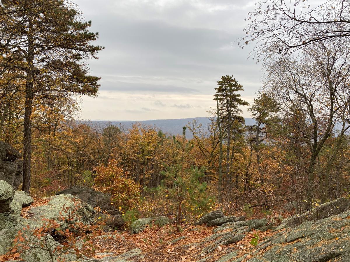 Fall foliage overlook at Hammonds Rocks