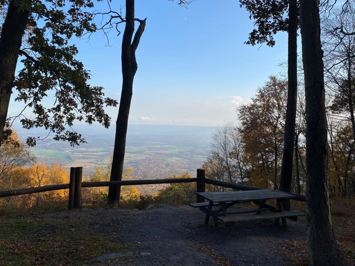 Picnic table area along Three Square Hollow Overlook