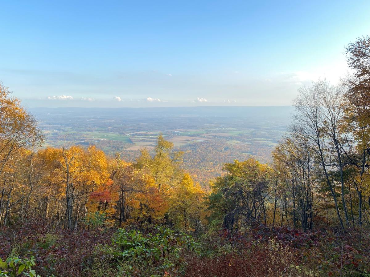 Fall trees and valley at Three Square Hollow Overlook