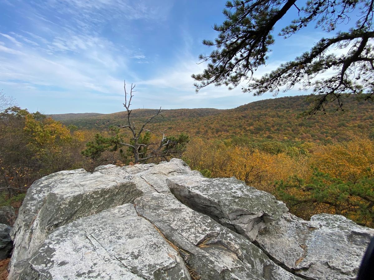 Rock and fall landscape at White Rocks Trail