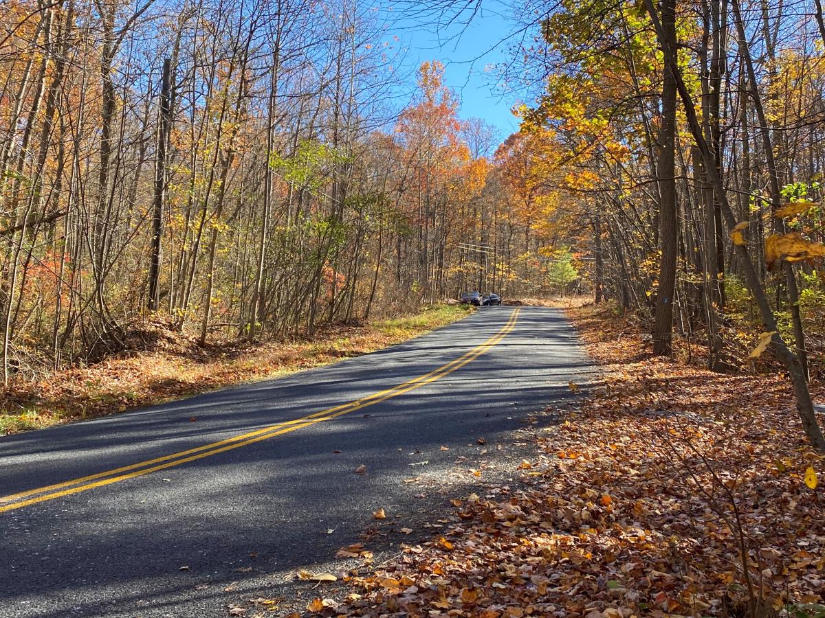 Appalachian Trail-50