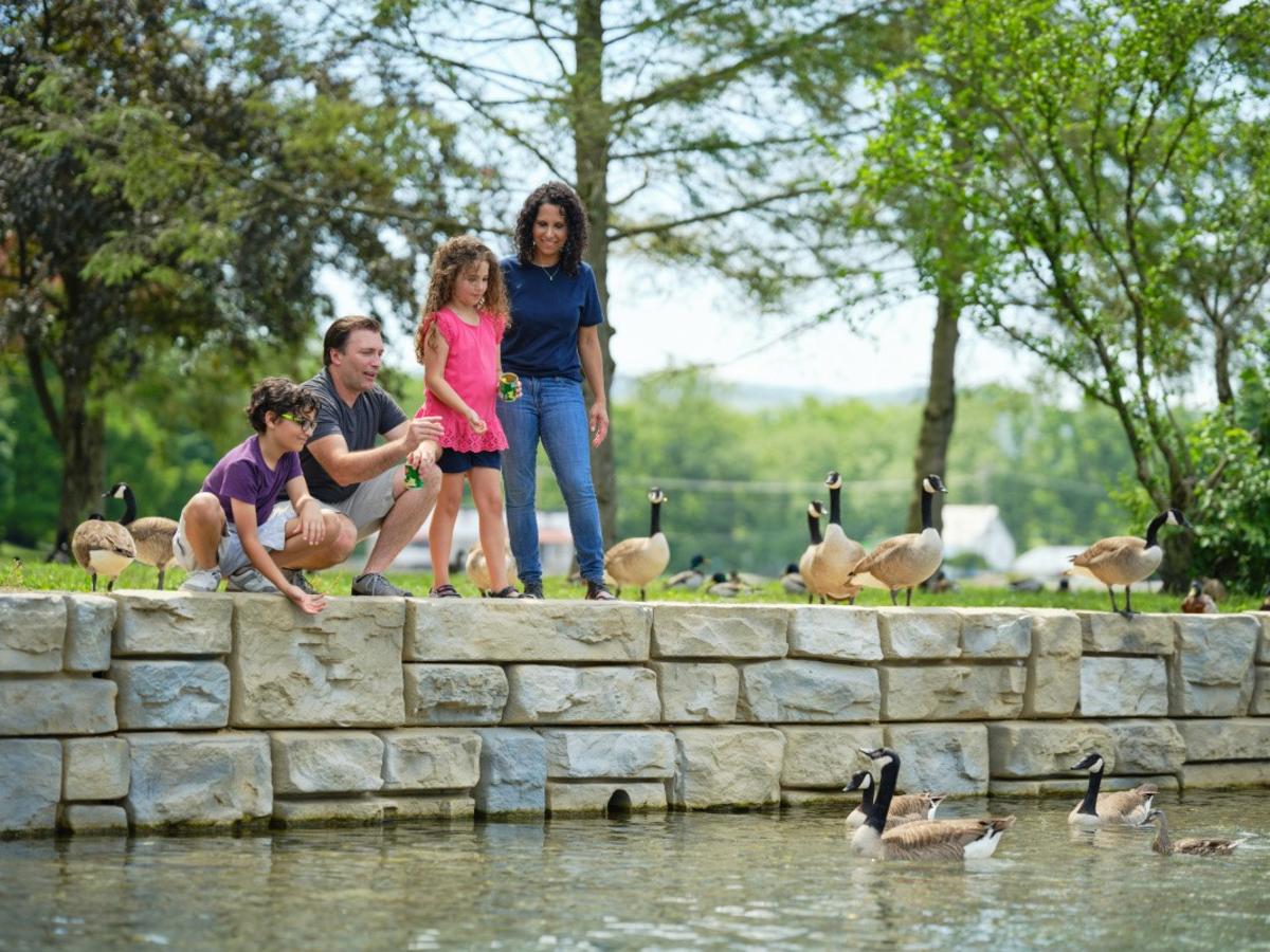 Children's Lake-96