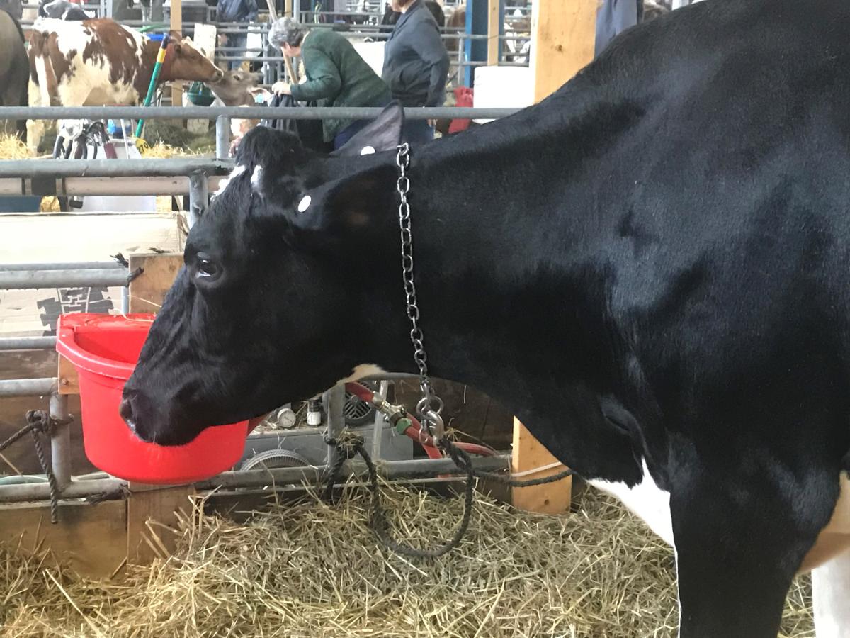 PA Farm Show