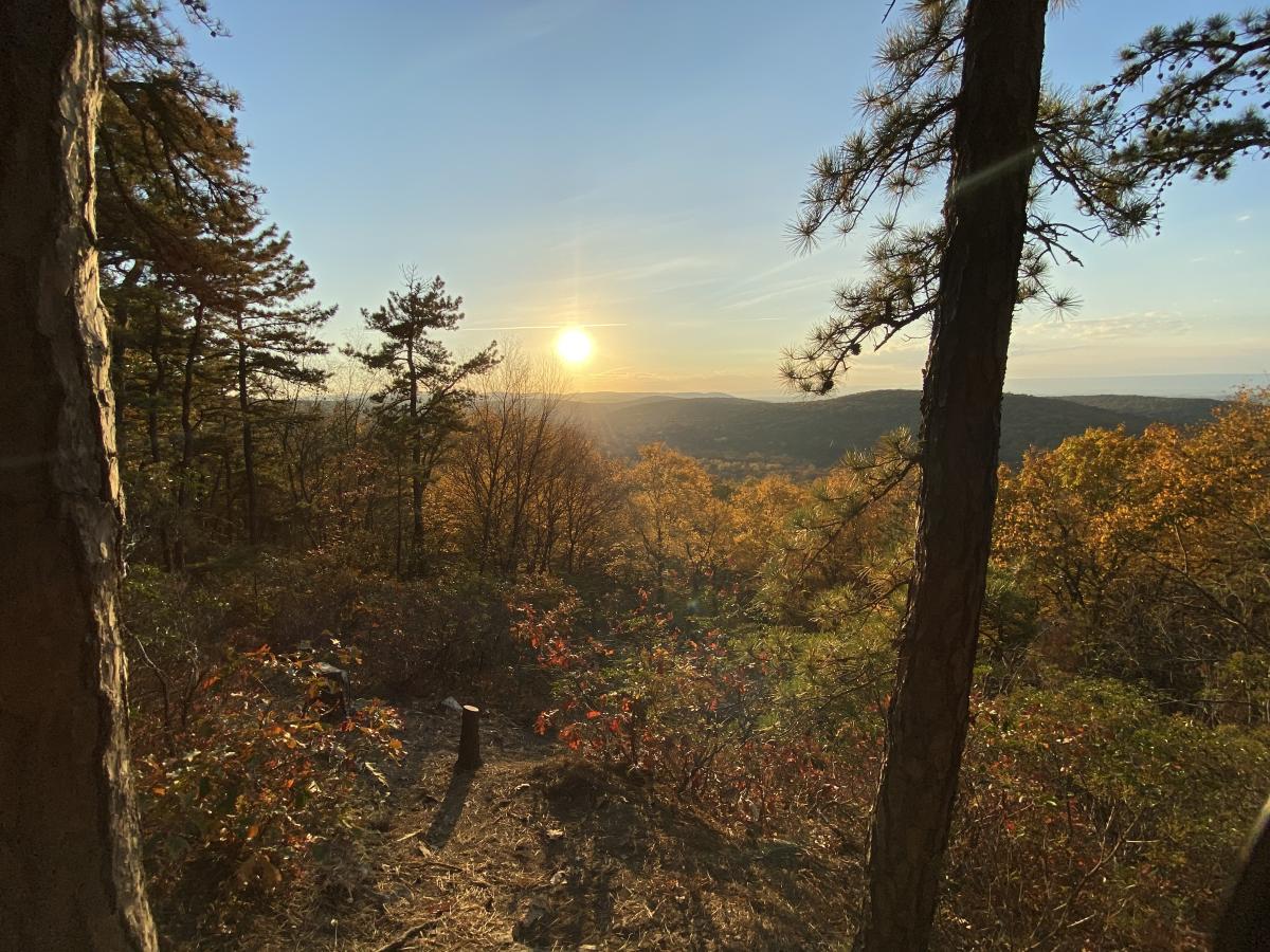 Sun shining through the trees on Scenic Vista Trail