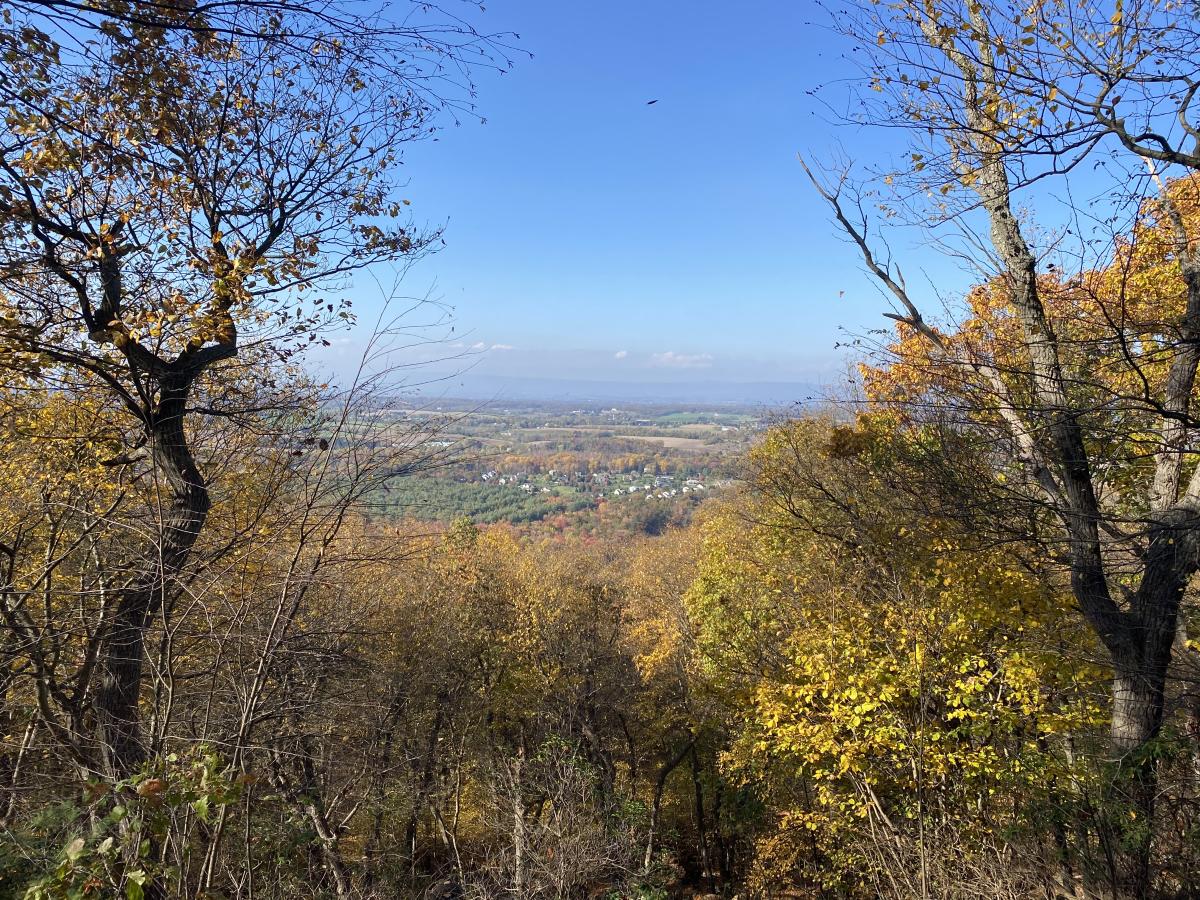 View through the fall trees on Ridge Overlook Trail