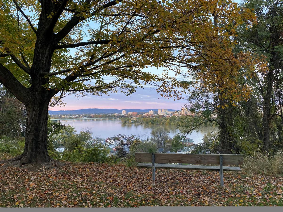 View of Susquehanna River from Negley Park