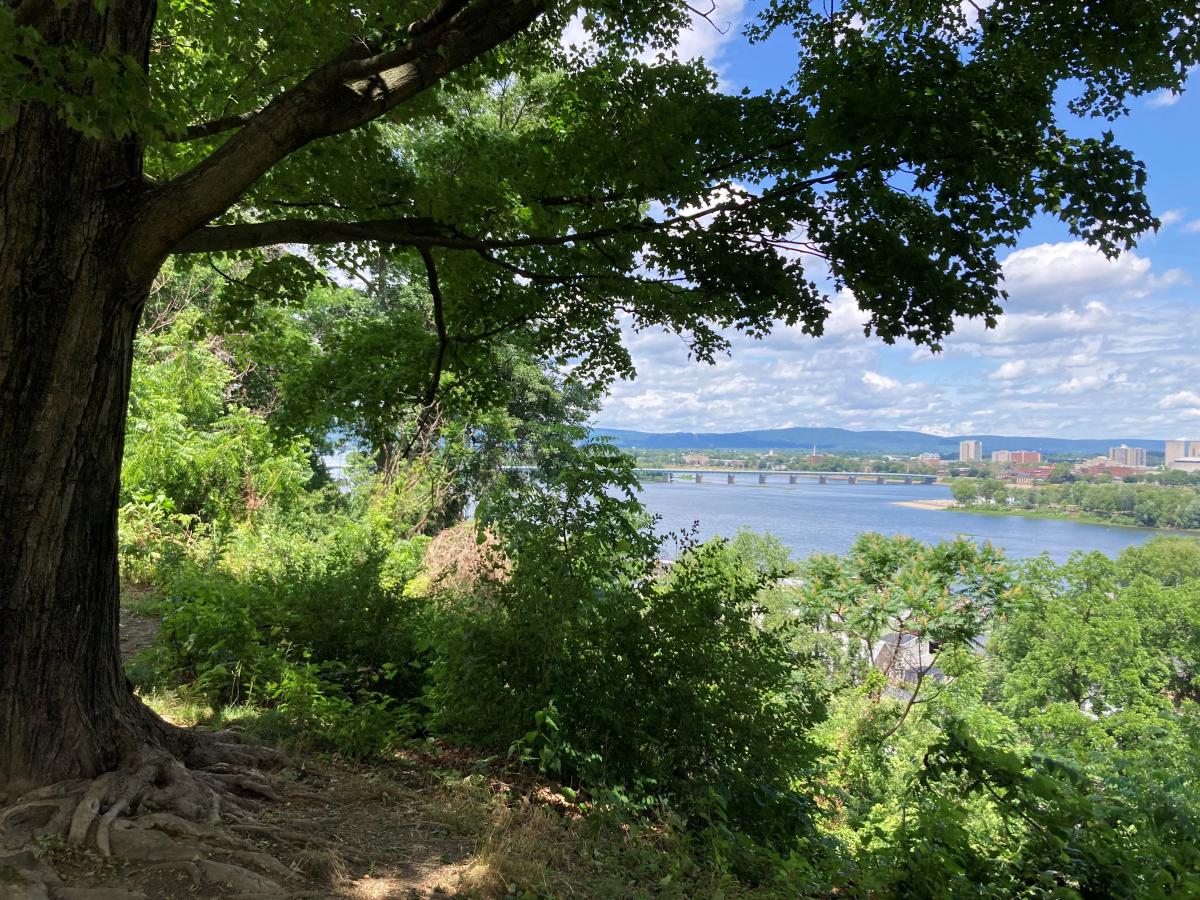 Negley Park