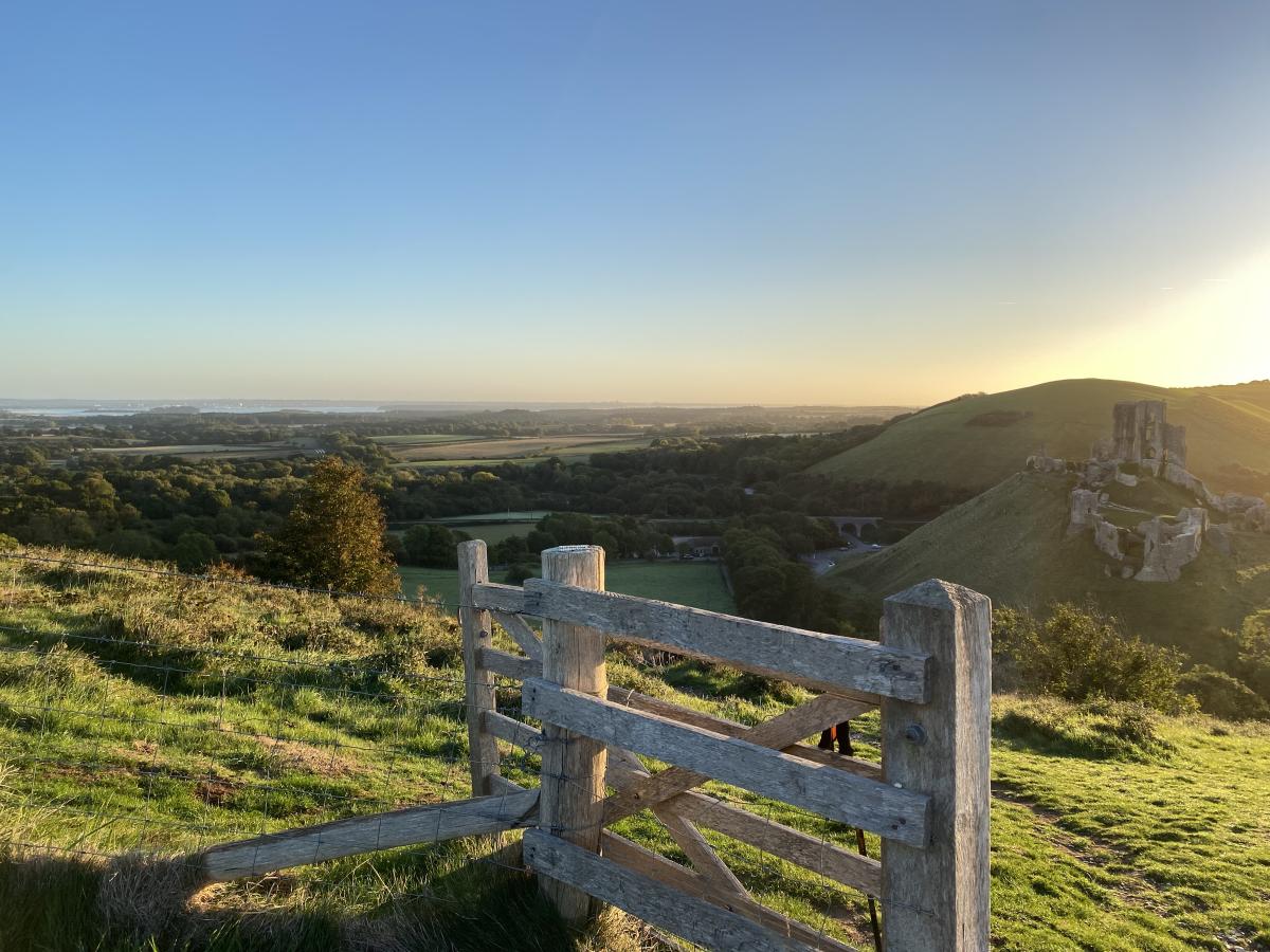 View to Corfe Castle
