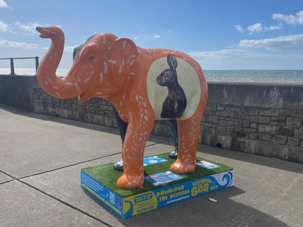 Stampede by the Sea, West Bay