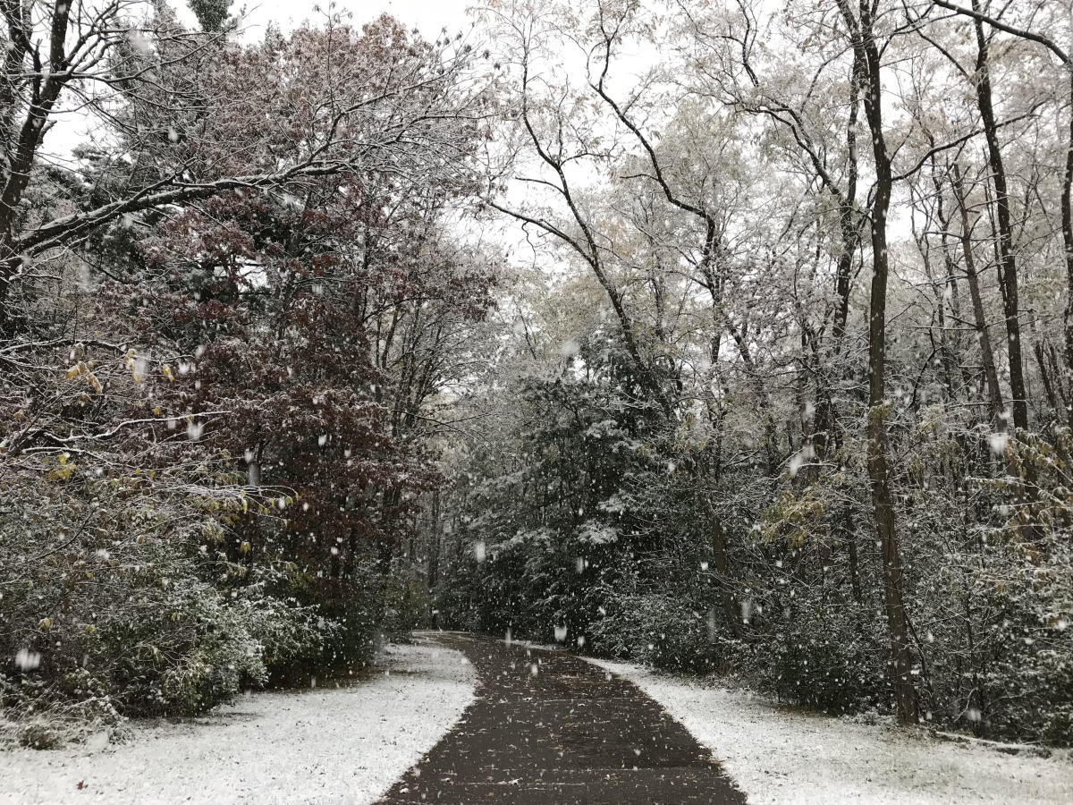 Bluffton Park Snow