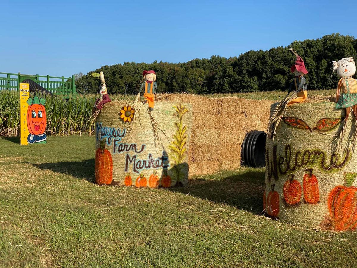 Mayse Farm Market