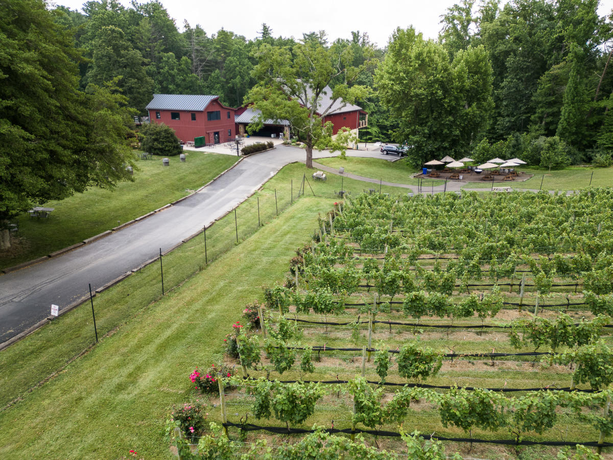 Paradise Springs Winery - April Greer - OBVFX - Clifton - Virginia Wine