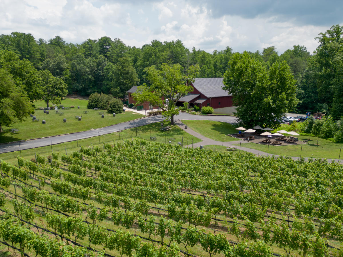 Paradise Springs Winery Aerial- Clifton