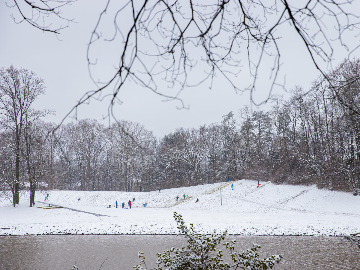 Royal Lake Park - AG - OBVFX