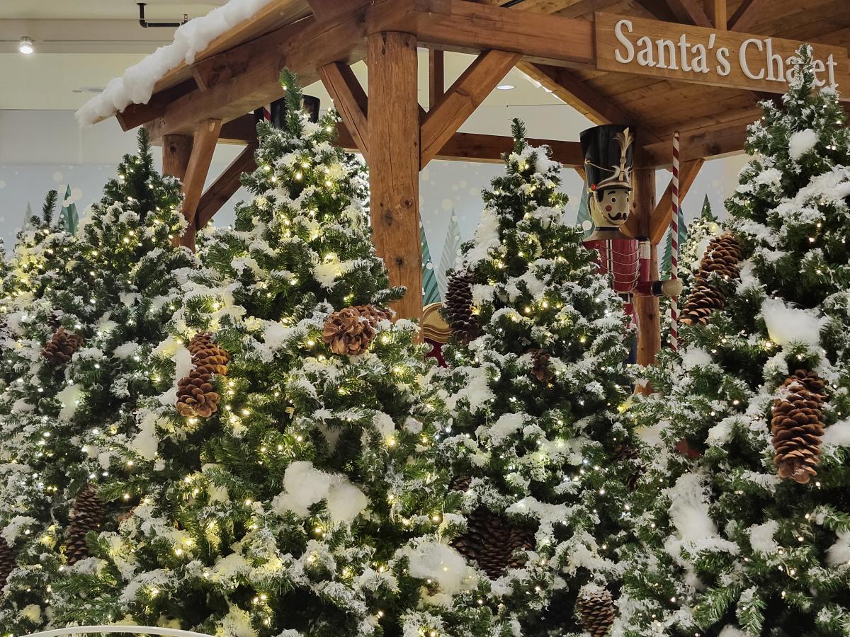 Snowy Christmas Trees in front of Santa's Chalet and a giant nutcracker.