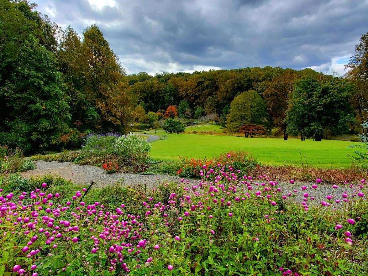 Purple wildflowers in the foreground framing a bucolic garden scene with full bloomed trees and a lake in the distance