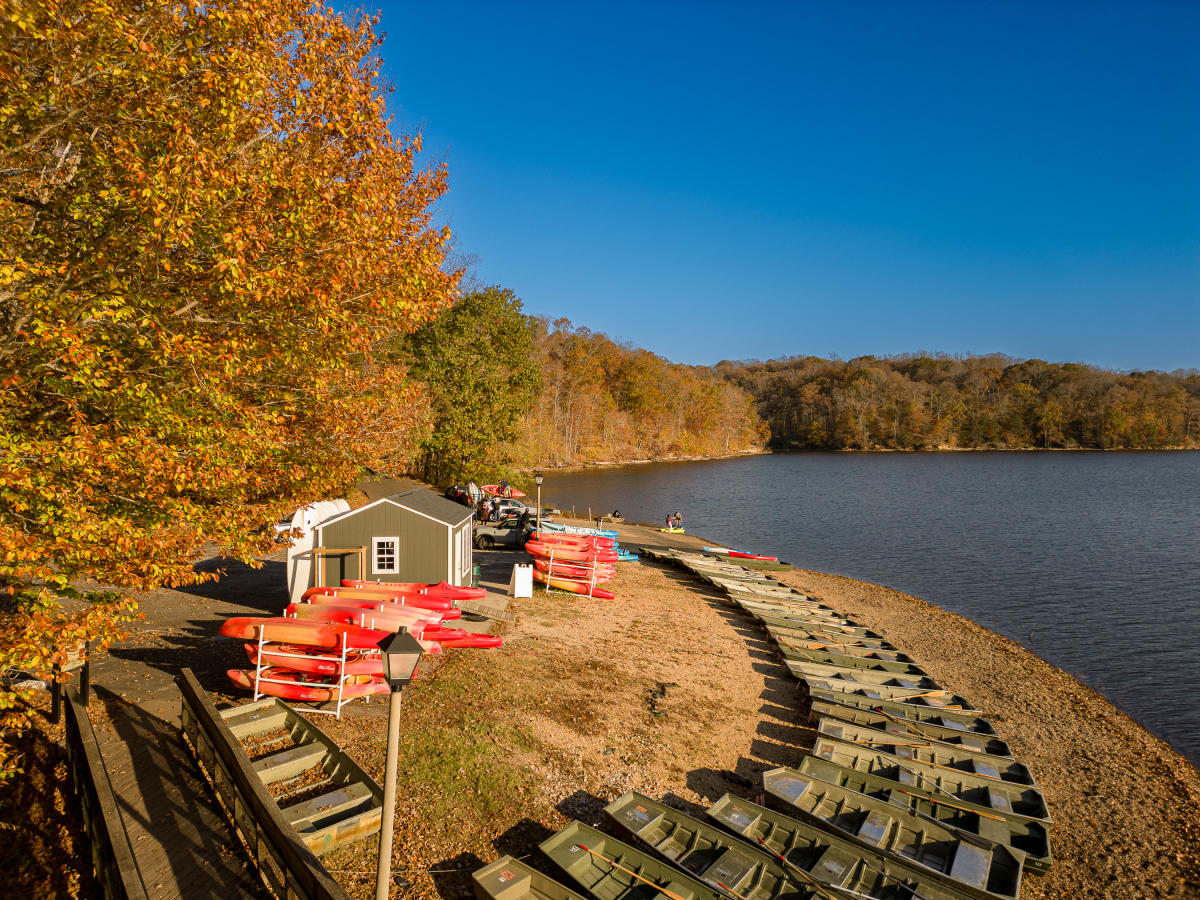 A serene lakeside scene featuring a sandy shore lined with green and red kayaks. A small shed is visible among autumn foliage under a clear blue sky.