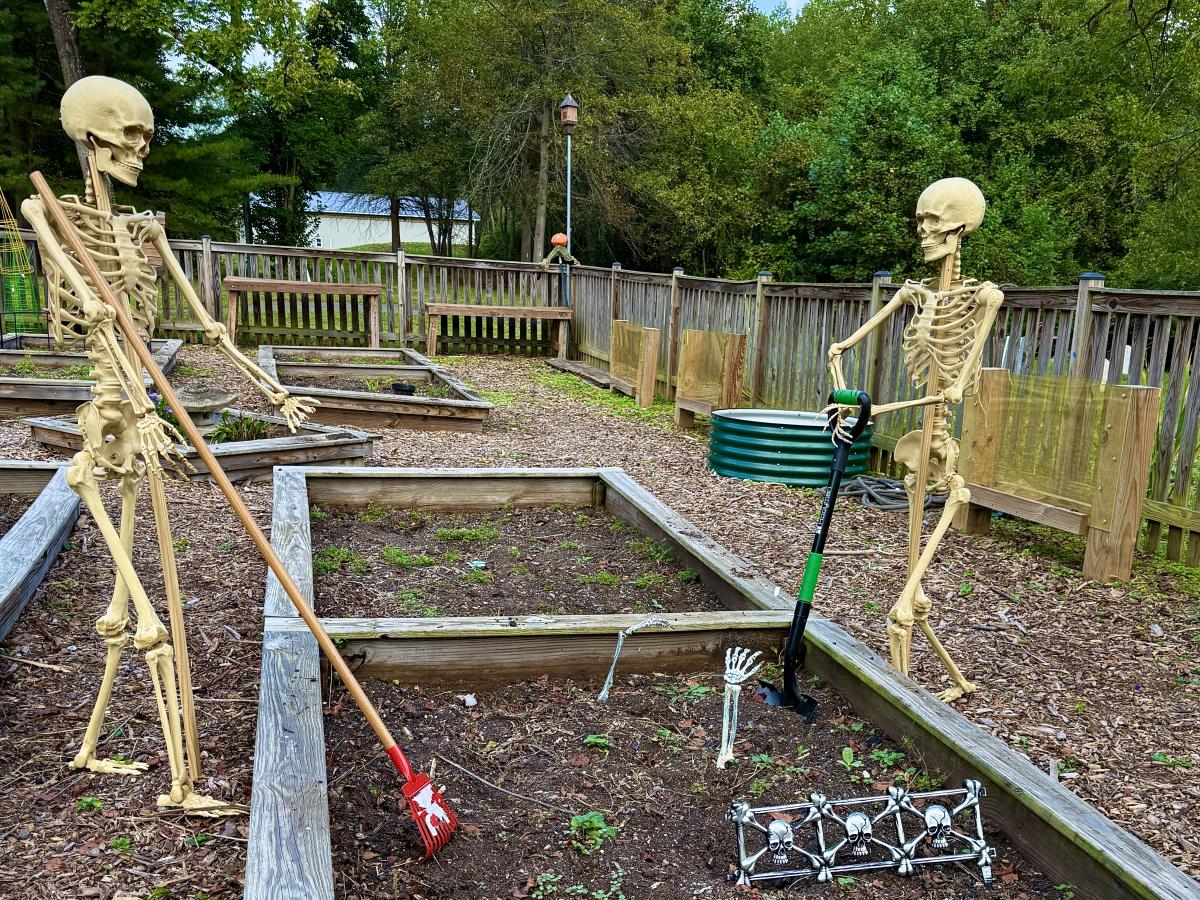 NOVA Parks - Meadowlark Botanical Gardens - Halloween