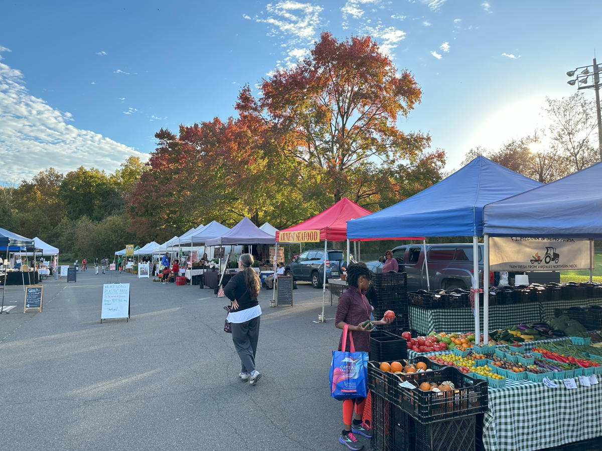 Wakefield Farmers Market- Fall
