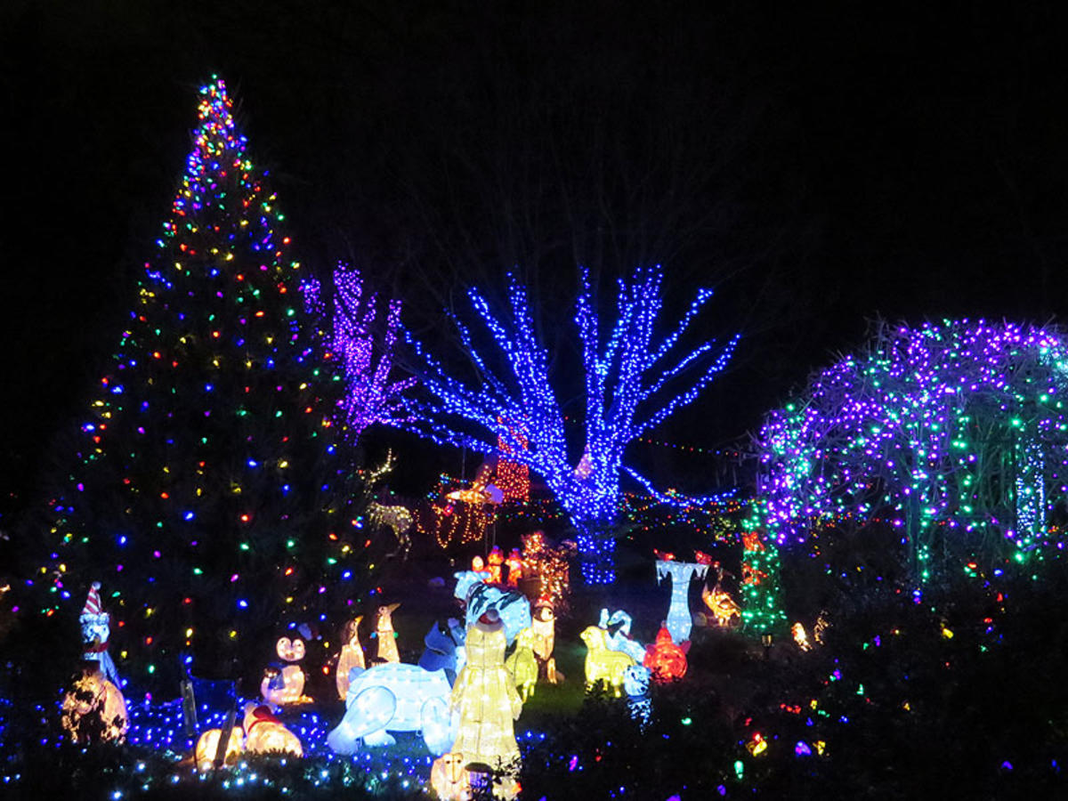 Tacky Christmas Lights in Northern Virginia & Fairfax