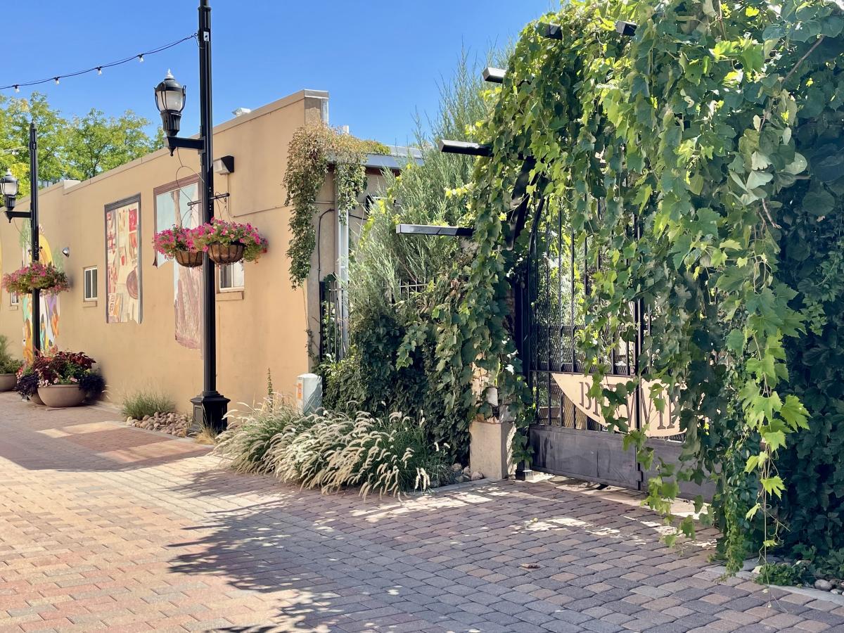Vines covering a gate that says Equinox Brewing with European style lamp posts and small murals on the wall