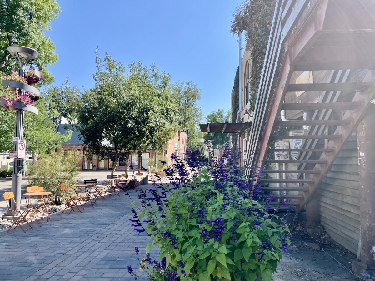 Purple flowers with stairs to one side and an alley to the other