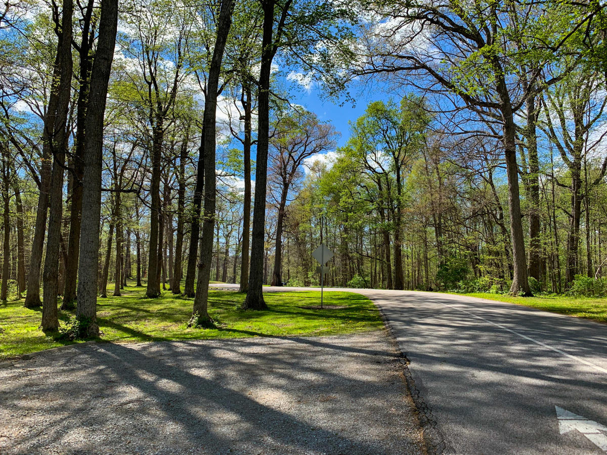 Shoaff Park South Drive Trail