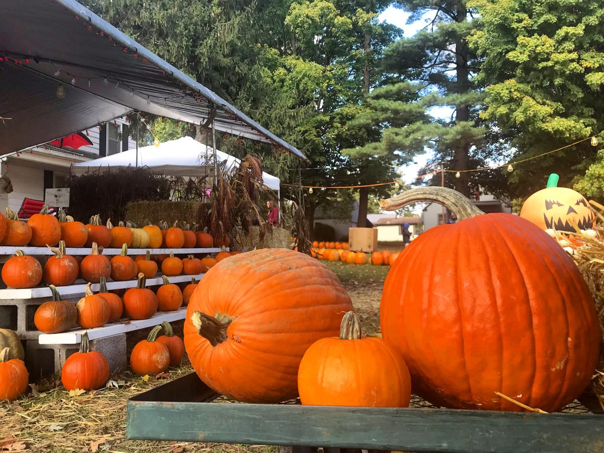 Pumpkin patch in Fort Wayne, Indiana