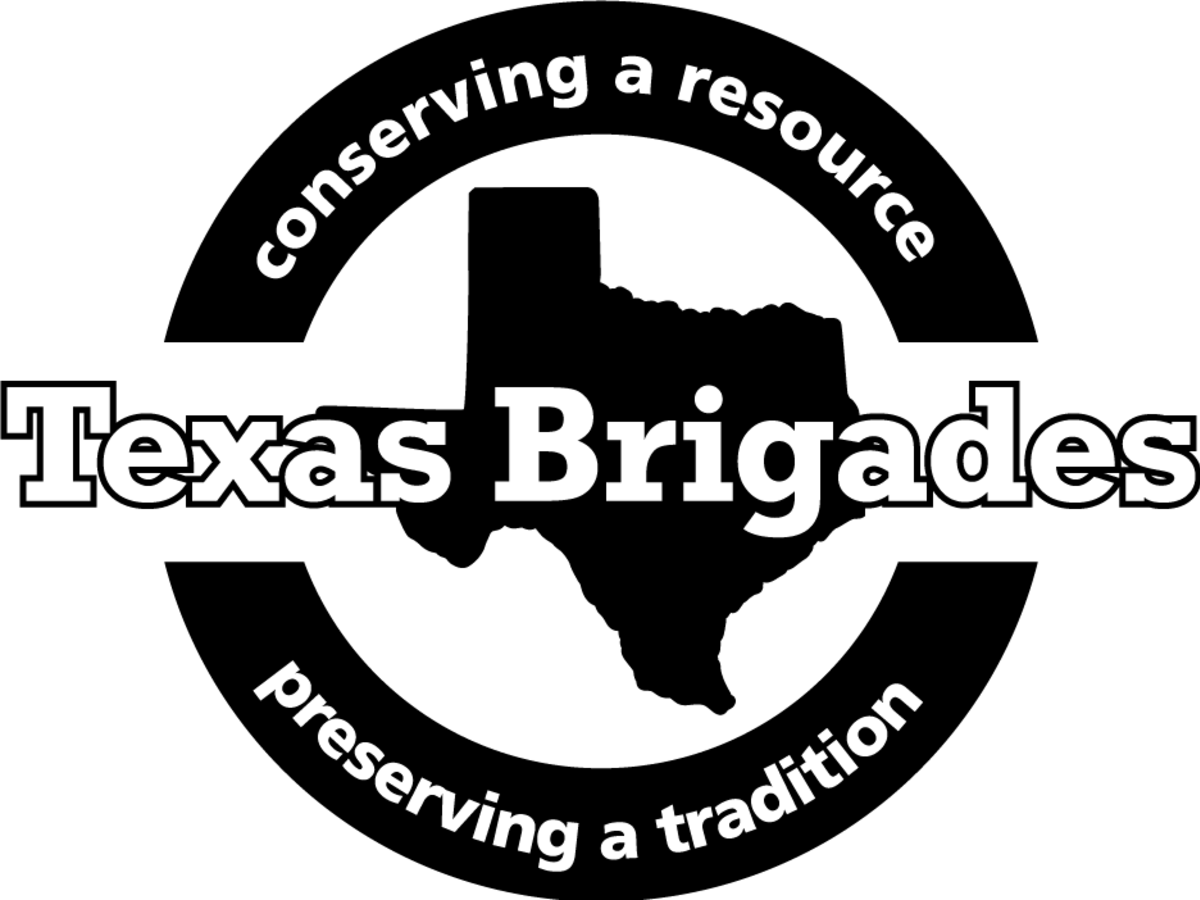 Texas Brigades