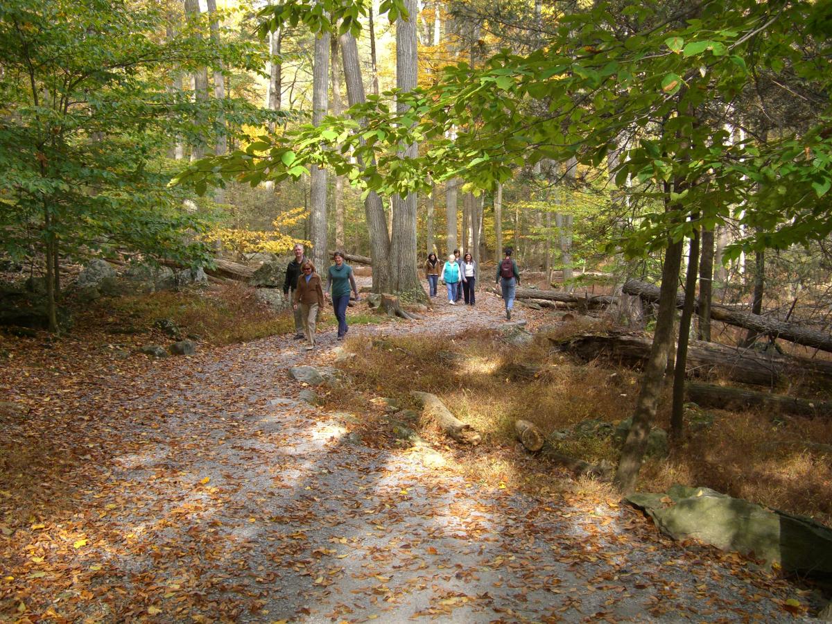 Hikers in Cunningham Falls State Park in the fall