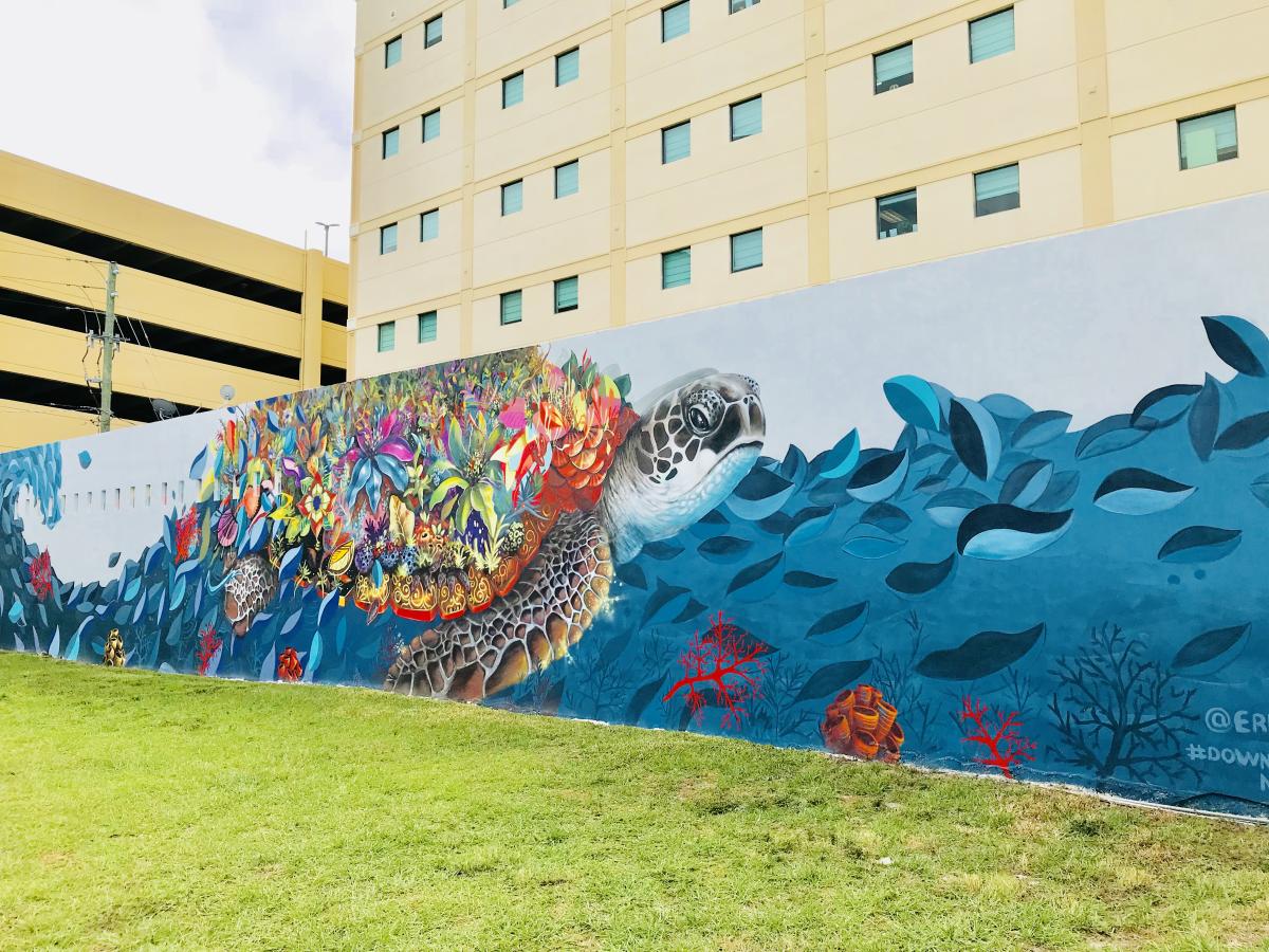Sea Turtle Mural from Downtown Hollywood Mural Project In Greater Fort Lauderdale, FL