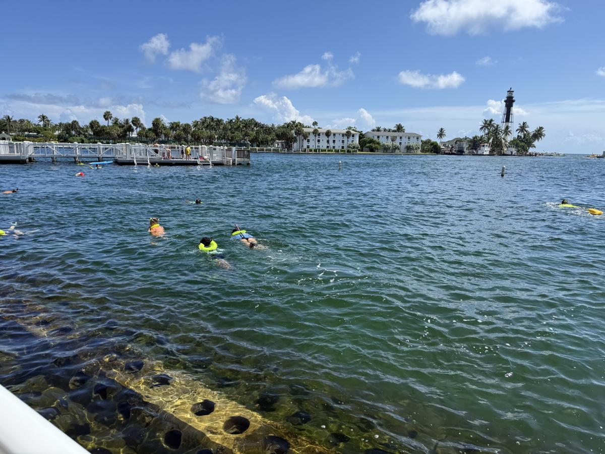 Snorkel at Wahoo Bay in Pompano Beach