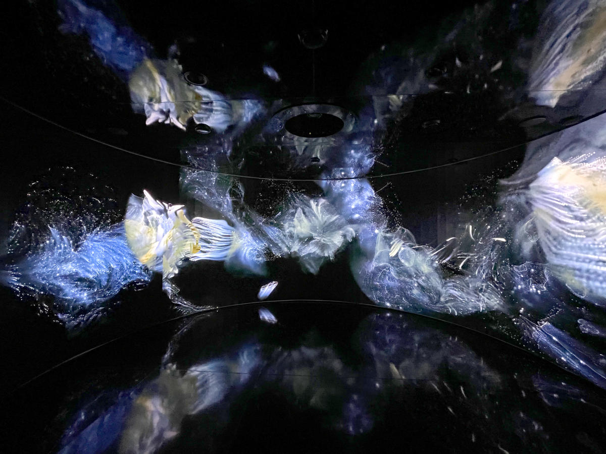 An inside view of one of the projections at IGNITE Broward