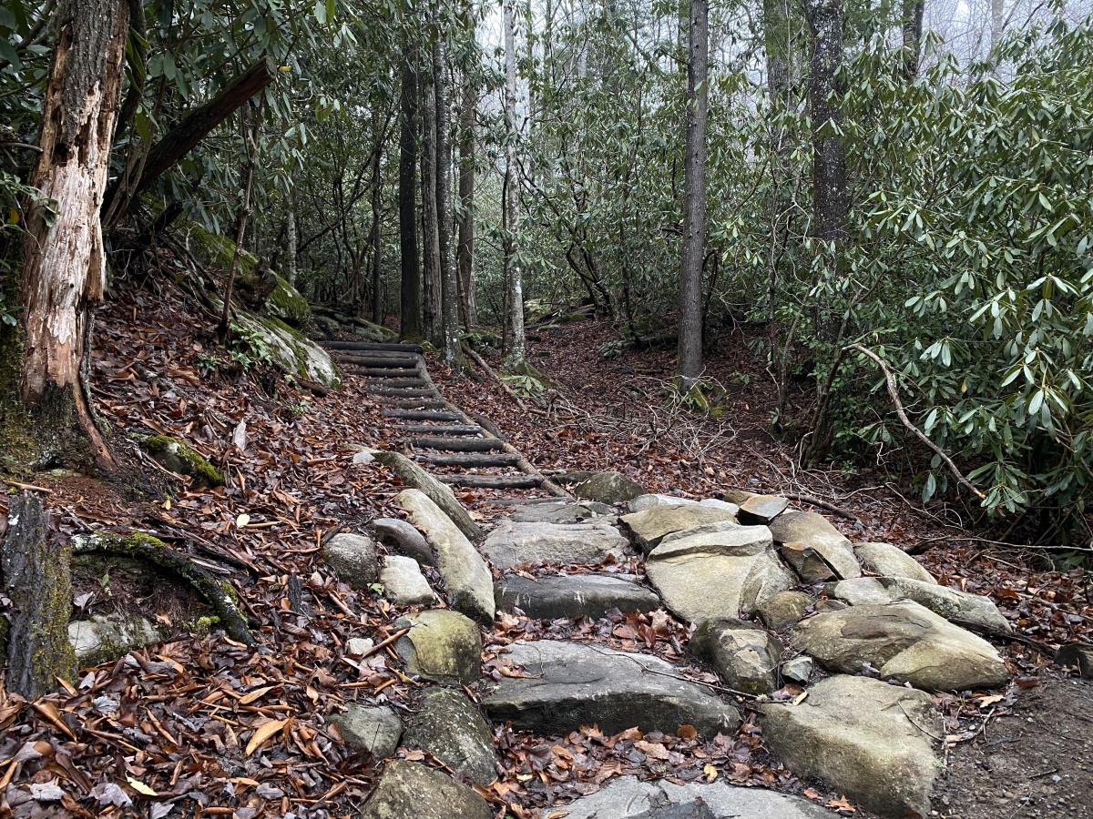 Newly renovated Ramsey Cascades trail