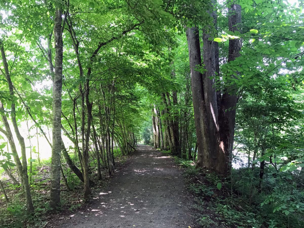 Oconaluftee River Trail
